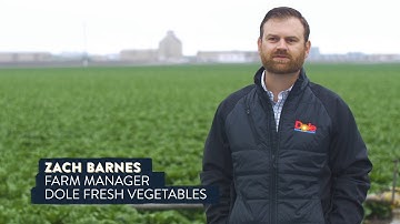 Farming the Future: Harvesting Data on Blockchain