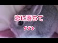 SID様~恋におちて~