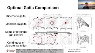 Famous Geometric Gait Optimization for Inertia-Dominated Systems With Nonzero Net Momentum - Presentation Net Worth