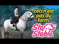 Farming magique  black friday  star stable  sso