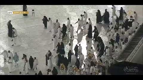 (أَإِلَهٌ مَعَ اللَّهِ تَعَالَى اللَّهُ عَمَّا يُشْرِكُونَ) تلاوة بديعة ومحبرة