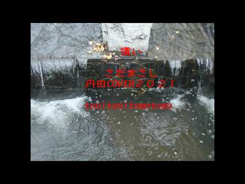 償い　さだまさし　熱情　丹田cover2021