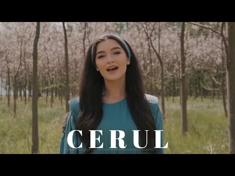 Video: Unde sunt săbiile cerului?