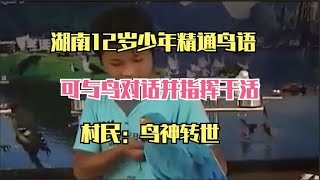 湖南12岁少年精通鸟语，可与鸟对话并指挥干活，村民：鸟神转世