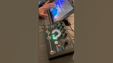 hologram electronics microcosm and koala sampler ?