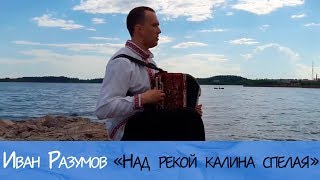 Над рекой калина спелая, Осока - Иван Разумов