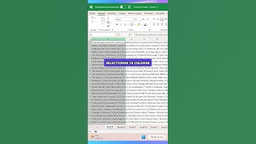 Ouvrir un fichier CSV dans Excel !