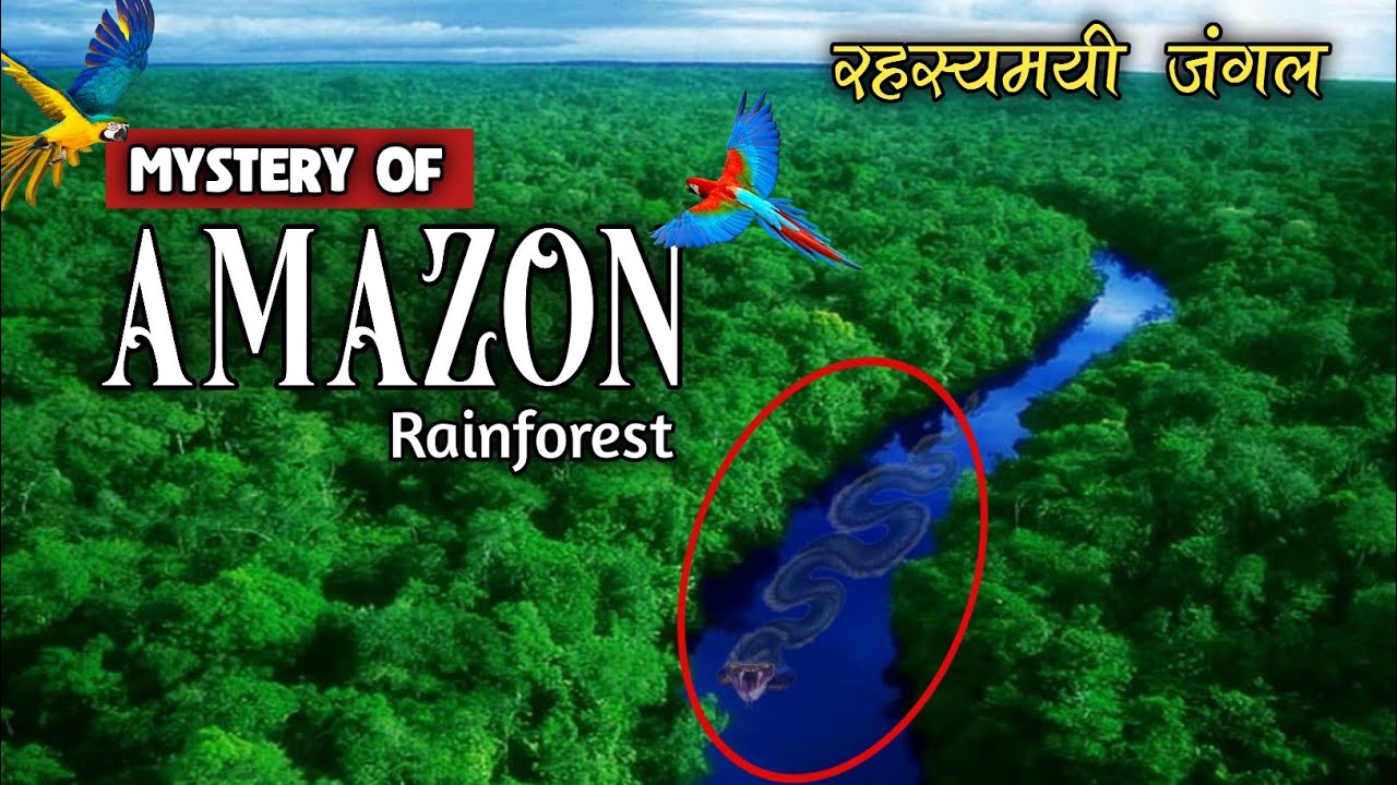 Mystery of Amazon Forest Rainforest Amazon World's Biggest Forest YouTube