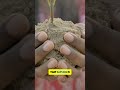 Watch Your Life BLOOM in Just 30 Days