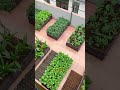 Fellow gardeners, why is gardening so addictive despite being so tiring?#IloveGardening