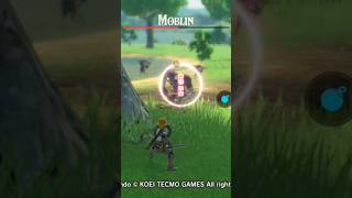 primer combate contra un moblin ⚔️😈