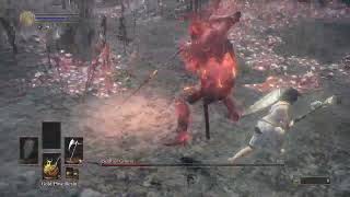 Soul of Cinder - SL1 NG+7 No Roll @Doodhandvlee