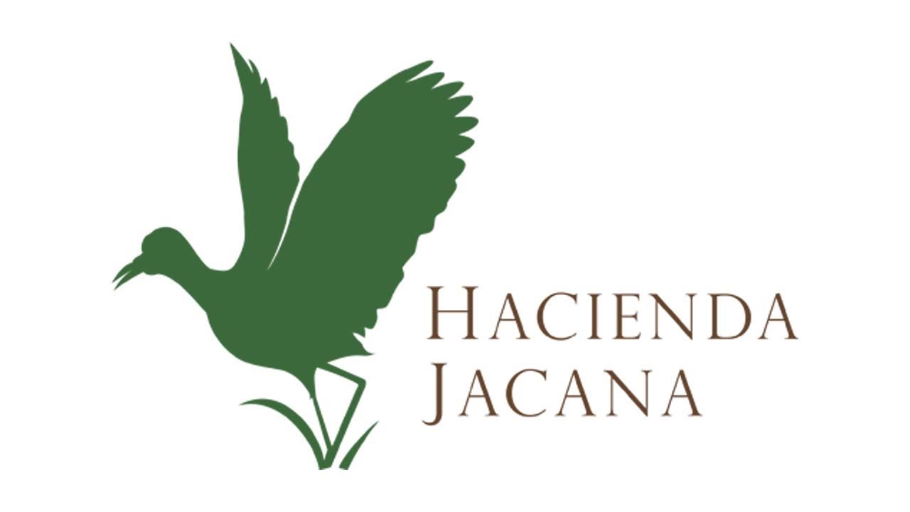 Bird Watching In Trinidad and Tobago 6 YouTube player