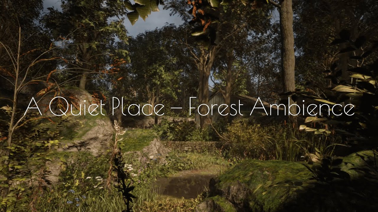A Quiet Place: The Road Ahead | Quiet Forest Ambience & Nature Sounds (3 Hours)