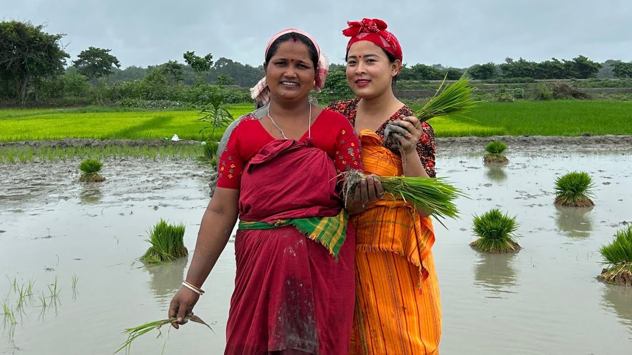 Thikse Gaibai Dinwiba holei Bajwi Mwnnao bwtwrni kebse 🥰! Mithi Narzary
