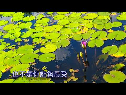 冷井情深/衛武營都會公園
