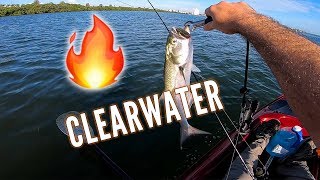 Clearwater Kayak Fishing  Gotta Catch 'Em All! | MOORE APPROVED