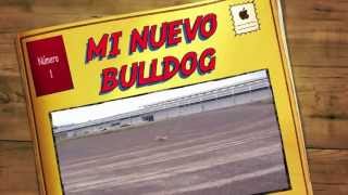 MS COMPOSIT BULLDOG AGUASCALIENTES