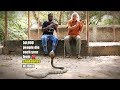 How to live with snakes wilbur sargunaraj at the madras crocodile bank