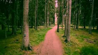 Code Green -- Too Silly Official Video