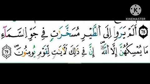 حفظ الثمن 8 من سورة النحل (مكرر 3 مرات) ✨رواية ورش عن نافع ✨مصحف التجويد الملون