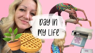 a day in my life | professional stoner, content creator | Coral Reefer