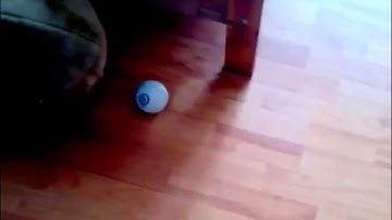 Circle with Sphero, Scratch 2.0 and S2Bot