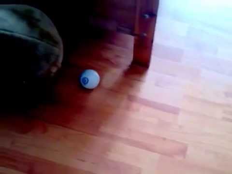 Circle with Sphero, Scratch 2.0 and S2Bot