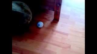 Circle with Sphero, Scratch 2.0 and S2Bot