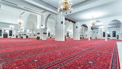 سورة الذاريات كاملة الشيخ خالد الجليل ١٤٤٥هـ | 2024