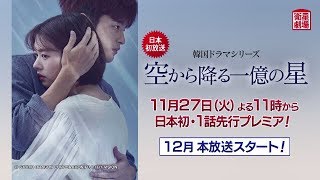 空 から 降る 一 億 の 星 日本 相関 図