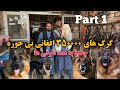گرگ های قیمتی و چلنجی نوراغا بچه حاجی قیمت یک گرگ ٣۵٠٠٠٠ افغانی