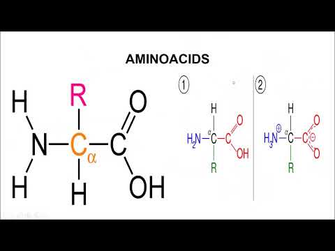 AF SOMALI PROTEINS & ENZYMES