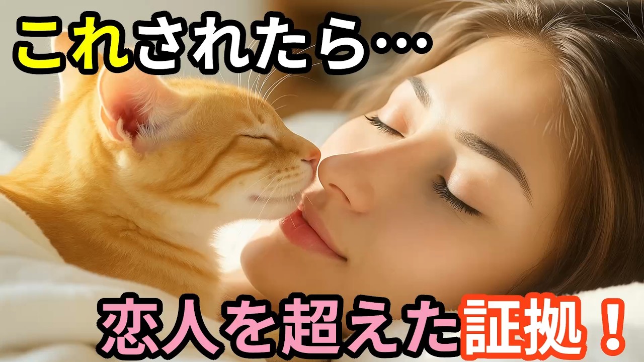 愛猫が見せる「恋人を超えた」甘え行動7選