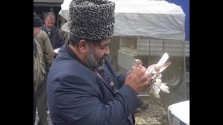 Редкие породы Редкие породы