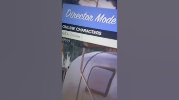 How to have fun in director mode GTA 5