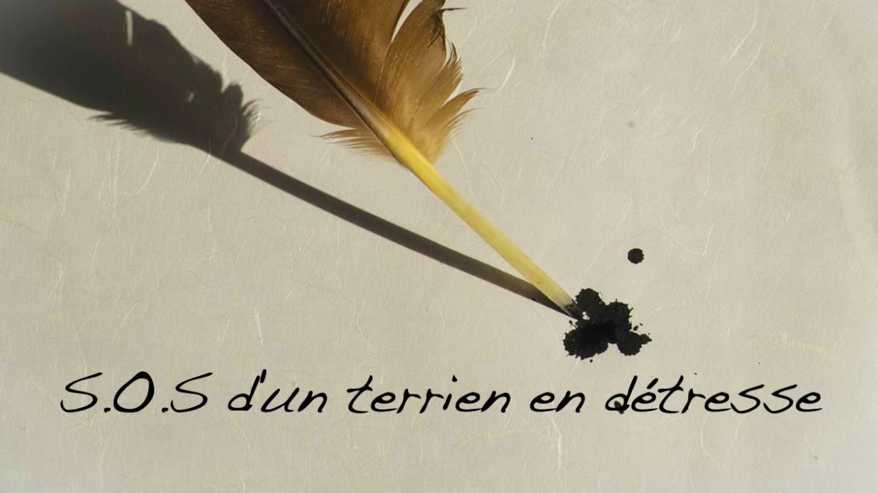 Watch S.O.S d'un terrien en détresse - Daniel Balavoine (Cover by Benoît Martel) on YouTube Watch S.O.S d'un terrien en détresse - Daniel Balavoine (Cover by Benoît Martel) on YouTube