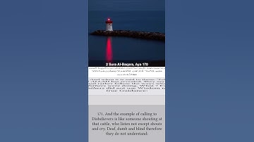 Sura Albaqara Aya 170 to 172 with translation سورة البقره #mishary