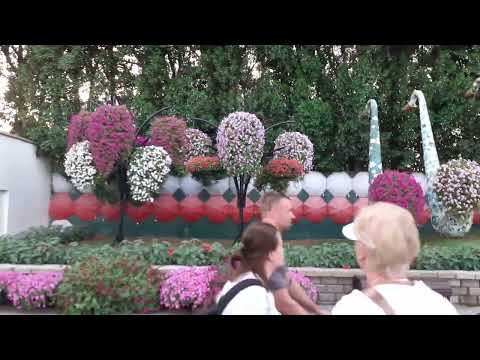 Miracle Garden #dubai