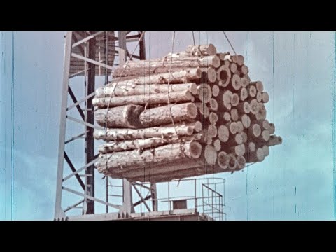 Видео: Отходы древесины в строительстве, 1972