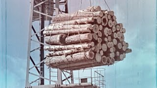 Отходы древесины в строительстве, 1972