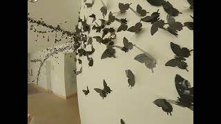 DuMA Black Thread Indoor Aerial Tour by Bob Felderman 2023