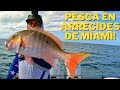 PESCA EN MIAMI DE PARGO Y PELAGICOS EN ARRECIFES !