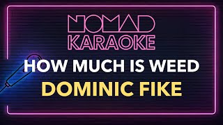 Dominic Fike - How Much Is Weed (Karaoke)