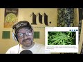 Cannabis News - Can THC Kill You? | Ep. 478 | 09-04-2019