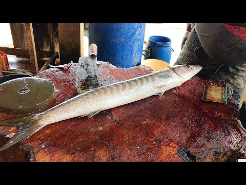 Speedily Cutting a Barracuda Fish | Fast Fish Cutting Skills | ඌලාවා