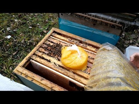 Пчелы приготовление канди