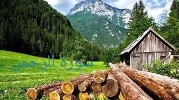 تلاوة خاشعة مؤثرة🎧😌 لسورة الرحمن بصوت القارئ حمزة الجزائري