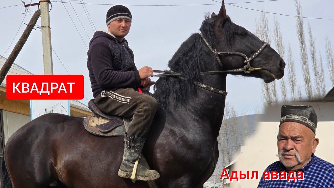 Адыл МОЙЛОДО  КВАДРАТ   Чыкты  Алганга Жетишип Калгыла 