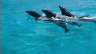 6to. Congreso de ADEMM